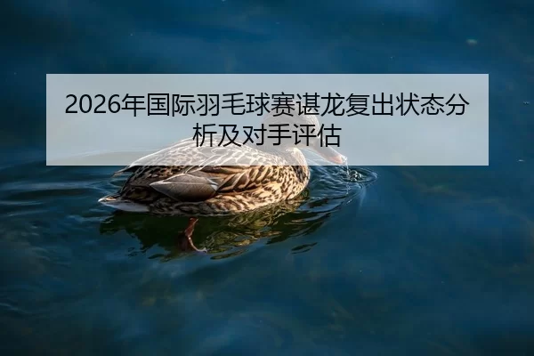 2026年国际羽毛球赛谌龙复出状态分析及对手评估