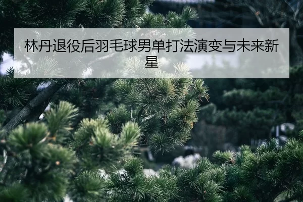 lin-dan-tui-yi-hou-yu-mao-qiu-nan-dan-da-fa-yan-bian-yu-wei-lai-xin-xing-2-305.jpg