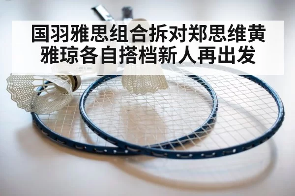 badminton racket close up