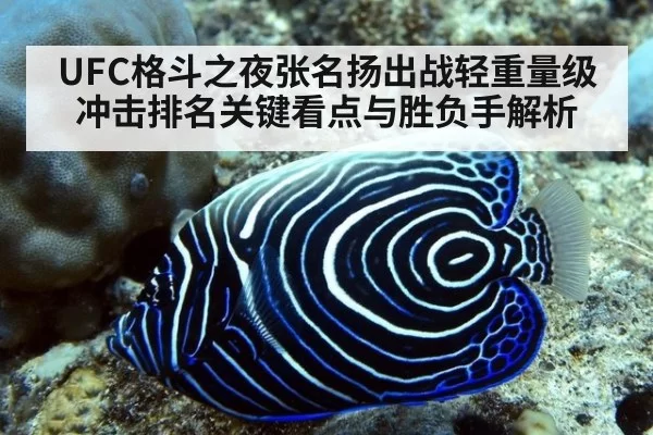 UFC格斗之夜张名扬出战轻重量级冲击排名关键看点与胜负手解析
